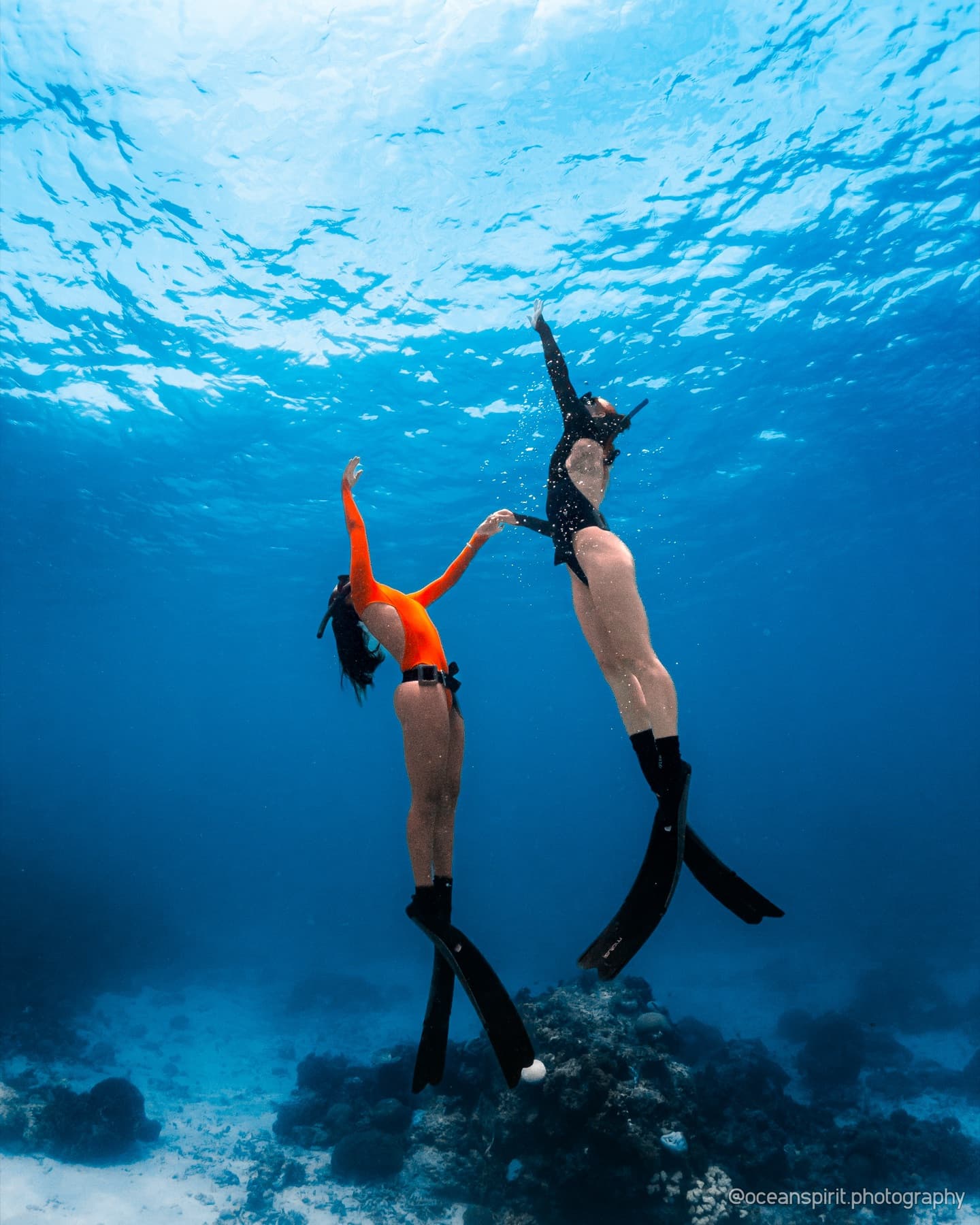 Coral reef in Bira