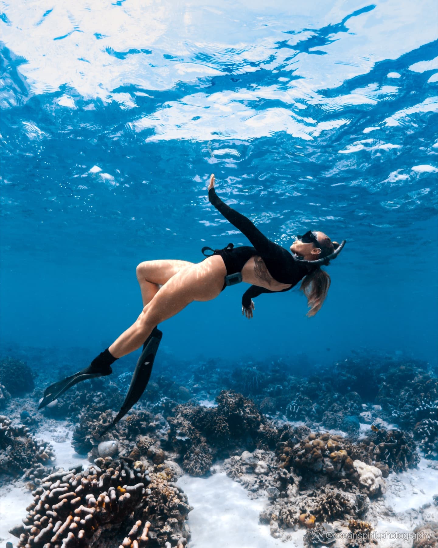 Reef ecosystem with vibrant corals in Bira, South Sulawesi