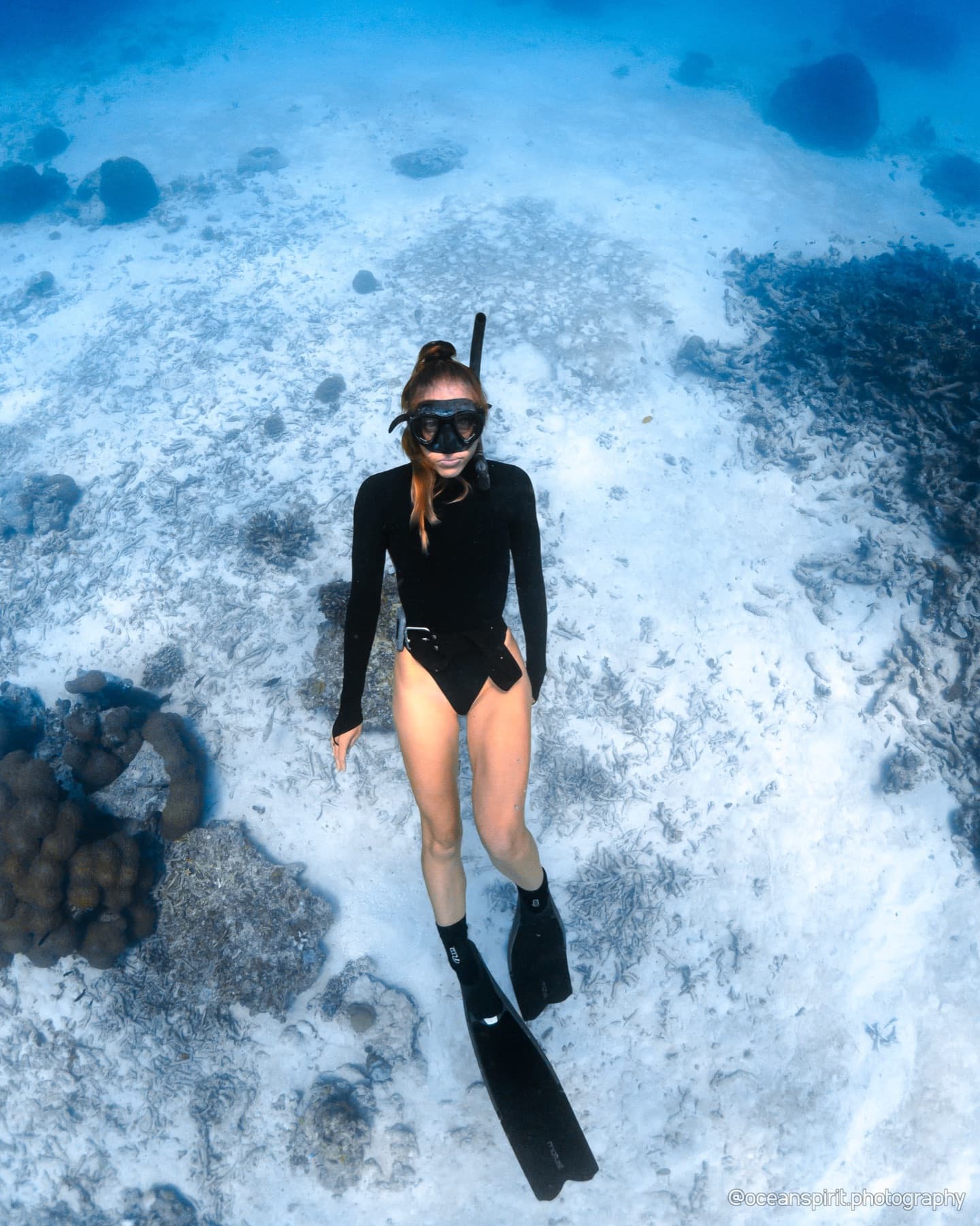 Marine life and corals on a reef in Bira, South Sulawesi