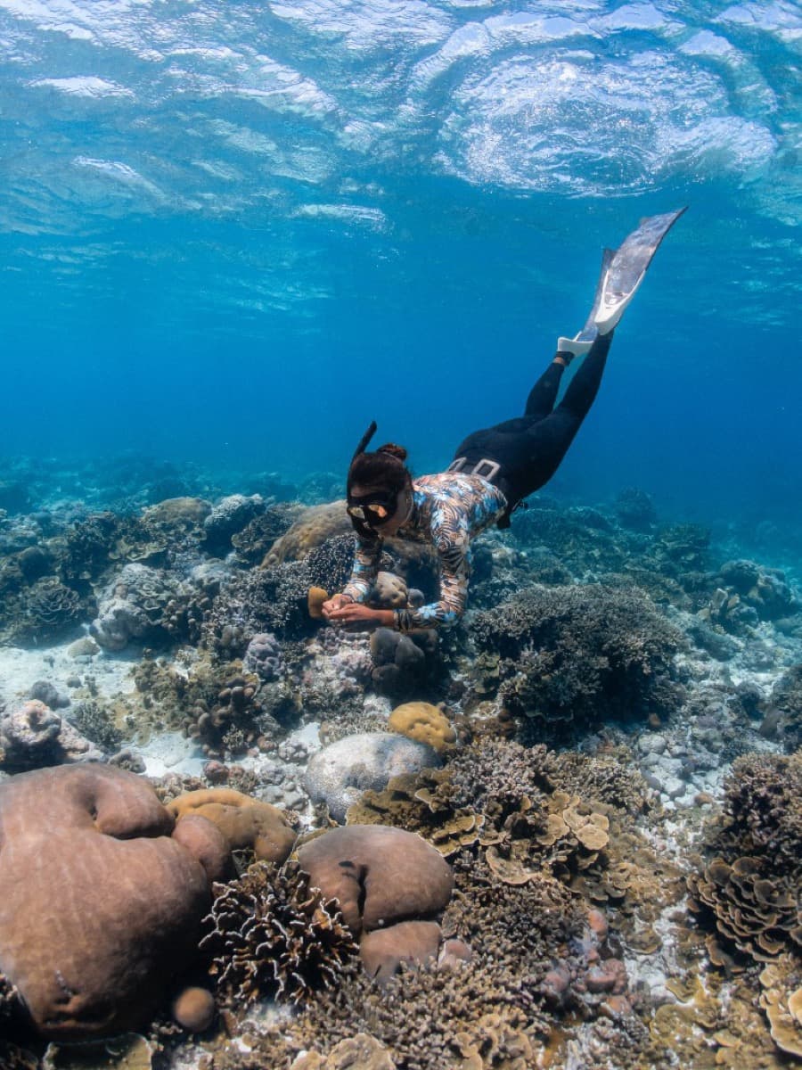 Freediver swimming over a coral reef in clear turquoise water in Bira, South Sulawesi